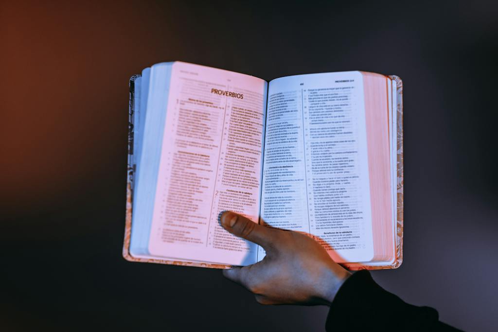 Catholic Apostle Creed
