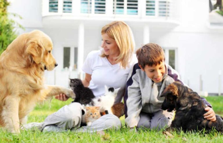 All About Pets and Animals A Fun Guide for Pet Lovers