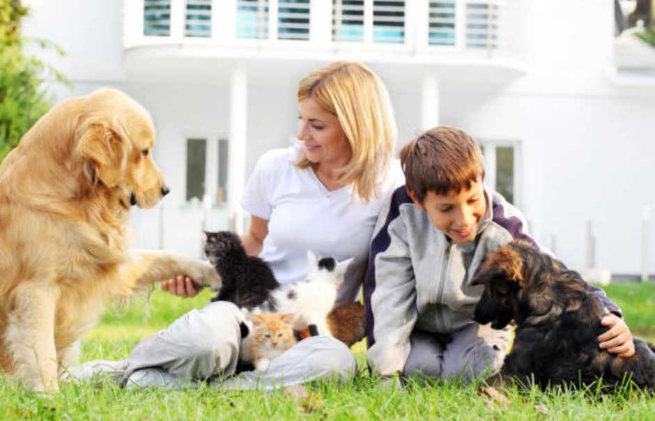 All About Pets and Animals A Fun Guide for Pet Lovers