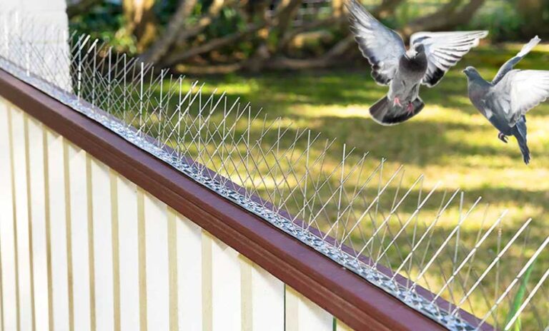 How Bird Spikes Prevent Damage to Dubai’s Buildings